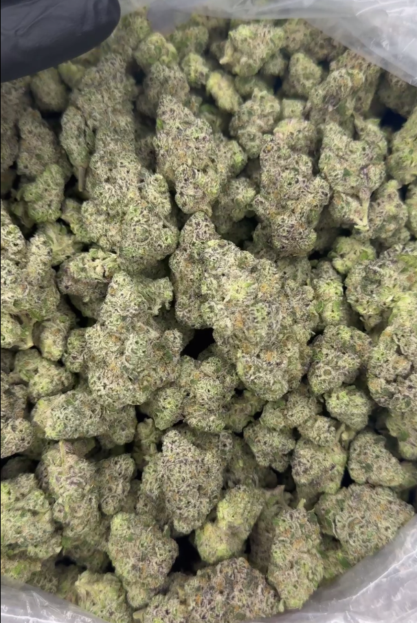 Zparkiez x BackPack Boyz (Exotic) - Cannabis Menu by Raftel