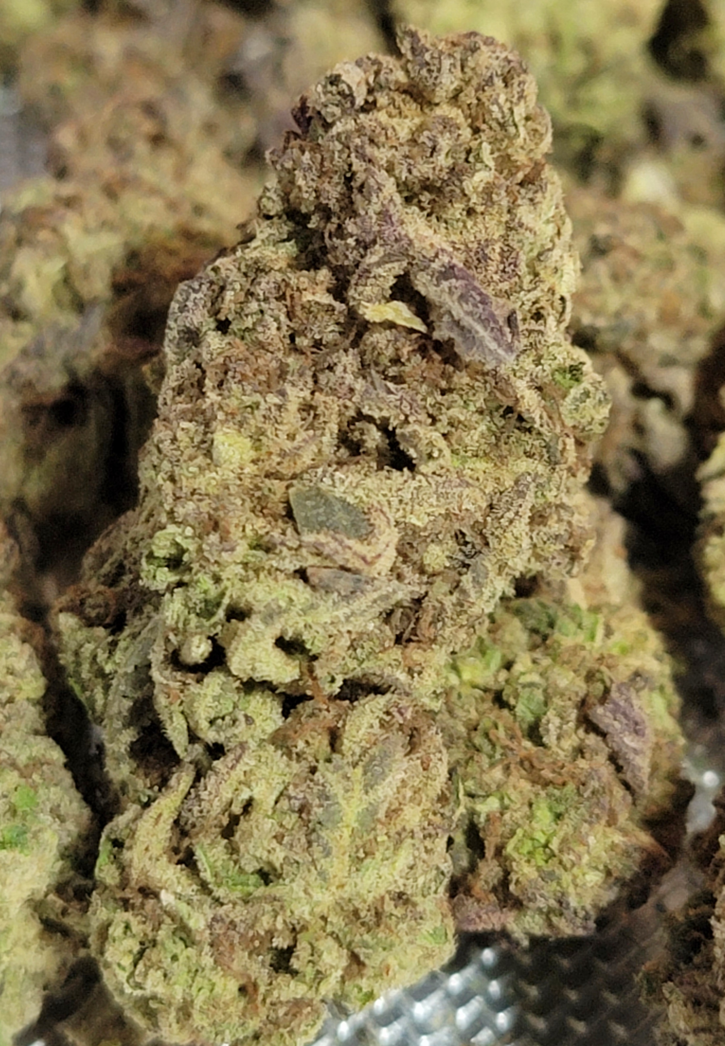 Blueberry Pancakes(Popcorn Nugs) Cannabis Menu by WRPCᴏɴɴᴇᴄᴛ